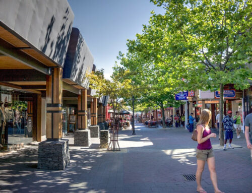 Kiwi Shopping Habits Post Lockdown